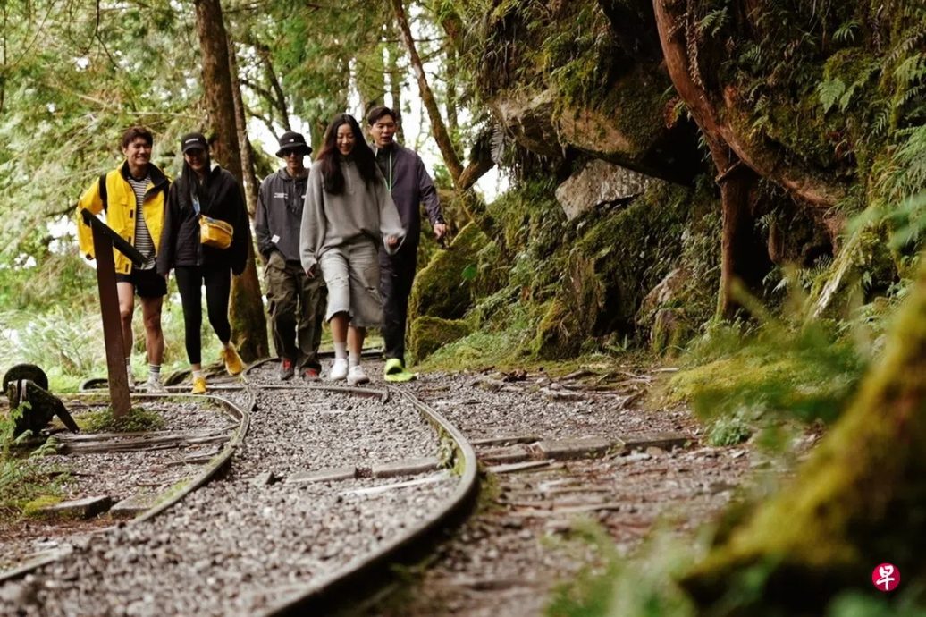 *已签发*柔：狮城二三事：刘子绚女神形象毁了 张哲通被指有“偶包”