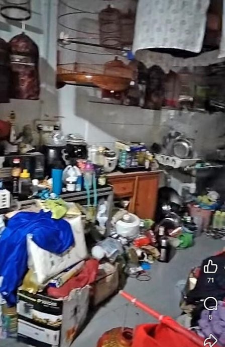 *已签发*柔:狮城二三事:囤40鸟笼禽尸引虫 夫妻求助义工花10小时清理