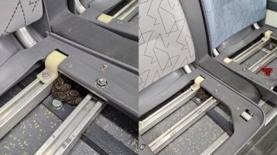 狮城公共巴士惊见蟒蛇  捕捉人员尝试两次才抓获