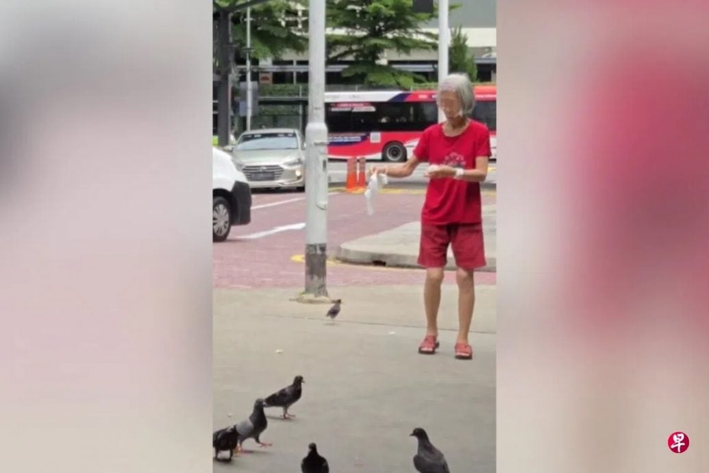 *已签发*柔:狮城二三事:食客劝妇勿喂鸽 反被呛:没公德心
