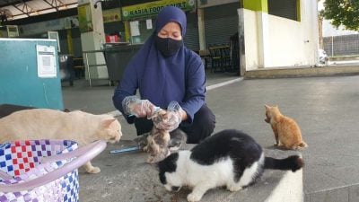 五年来风雨无阻　妇女骑摩托喂流浪猫 