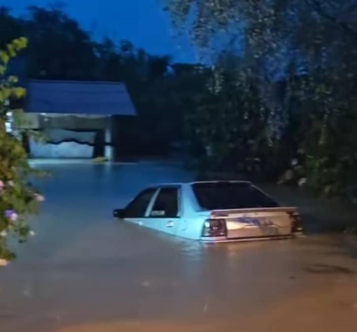 已签发(大北马)吉打水灾:夫妻坐窗台3小时等救援;孝子背盲母逃生。