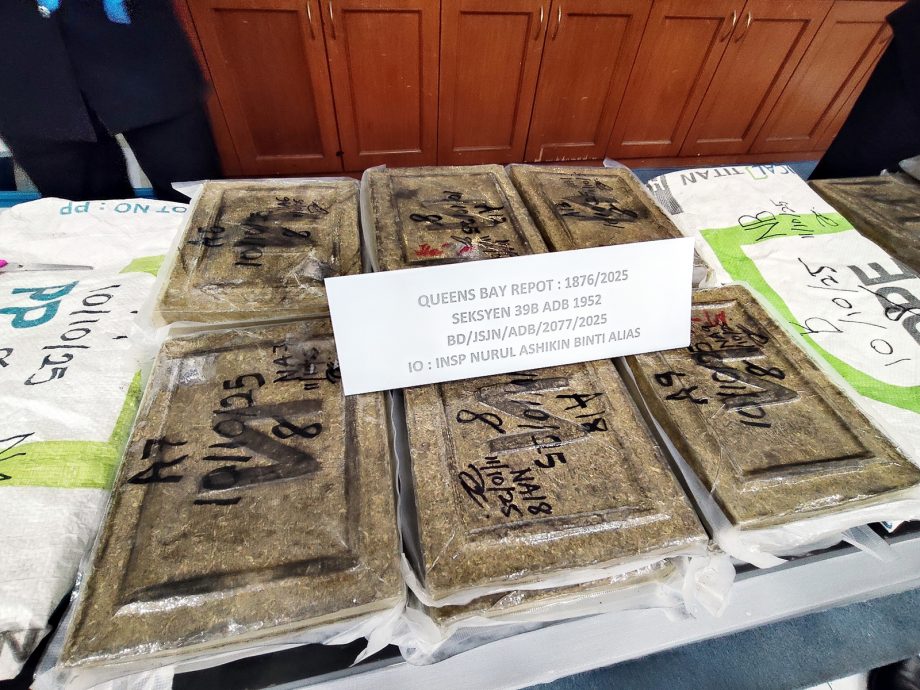 3男子涉嫌贩运毒品  警起获65块大麻砖