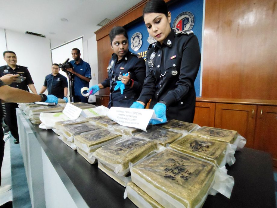 3男子涉嫌贩运毒品  警起获65块大麻砖