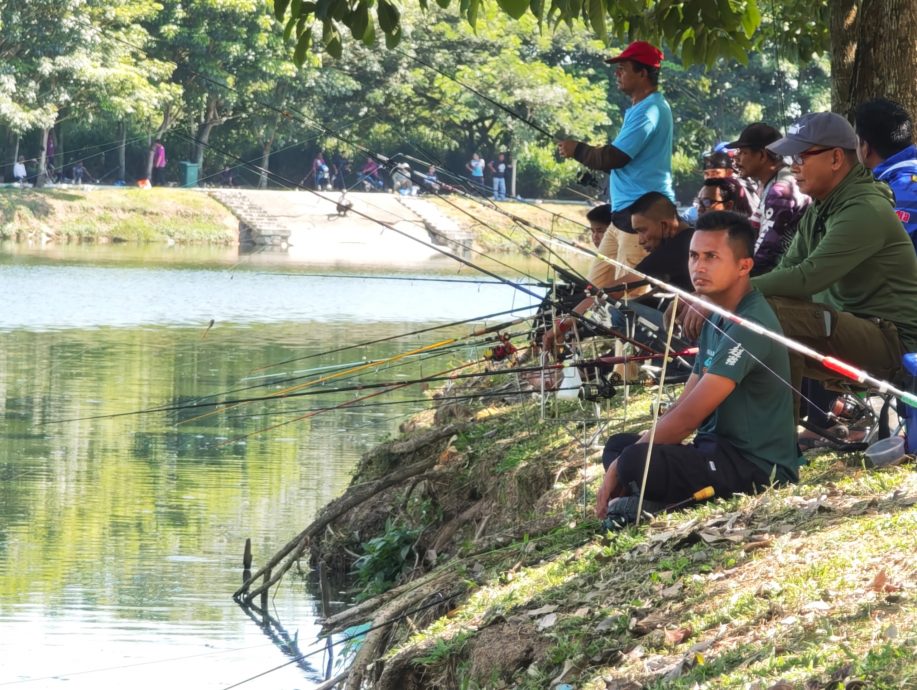 已签发（大北马）威省市政厅:有做防范  只放入150条鲶鱼