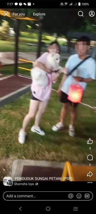 已签发(大北马)男女公园遛狗引起热议