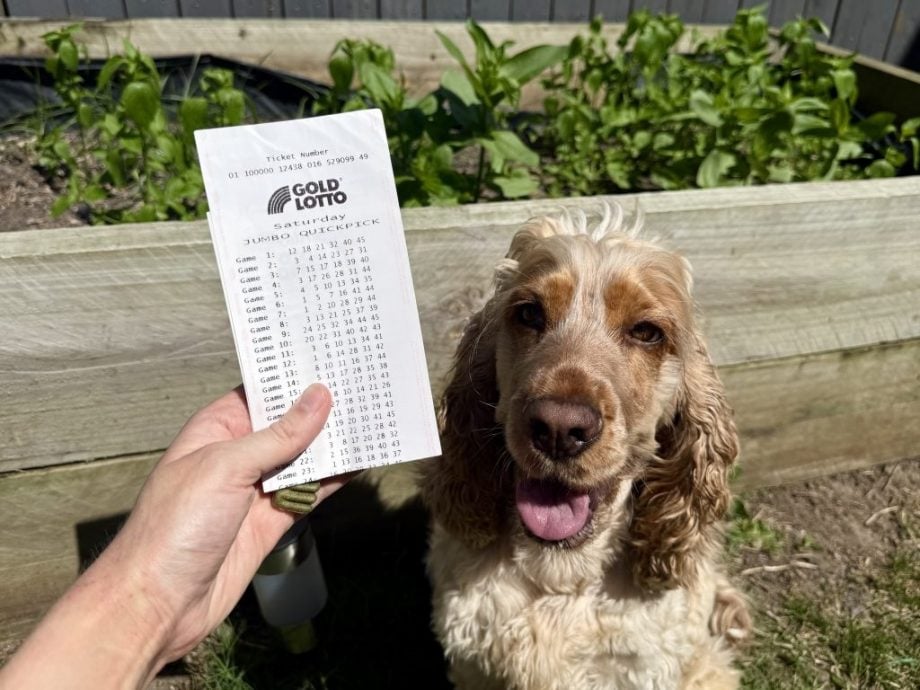 帮狗狗洗澡旺财运？ 女子买彩票爽赢402万！