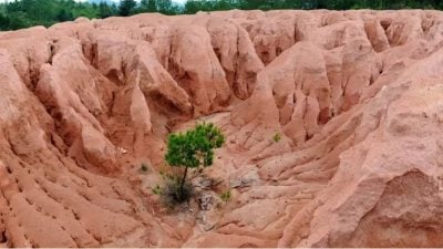 德国之声 |  拼污染拼劳力拼技术,西方如何打破中国的稀土垄断?