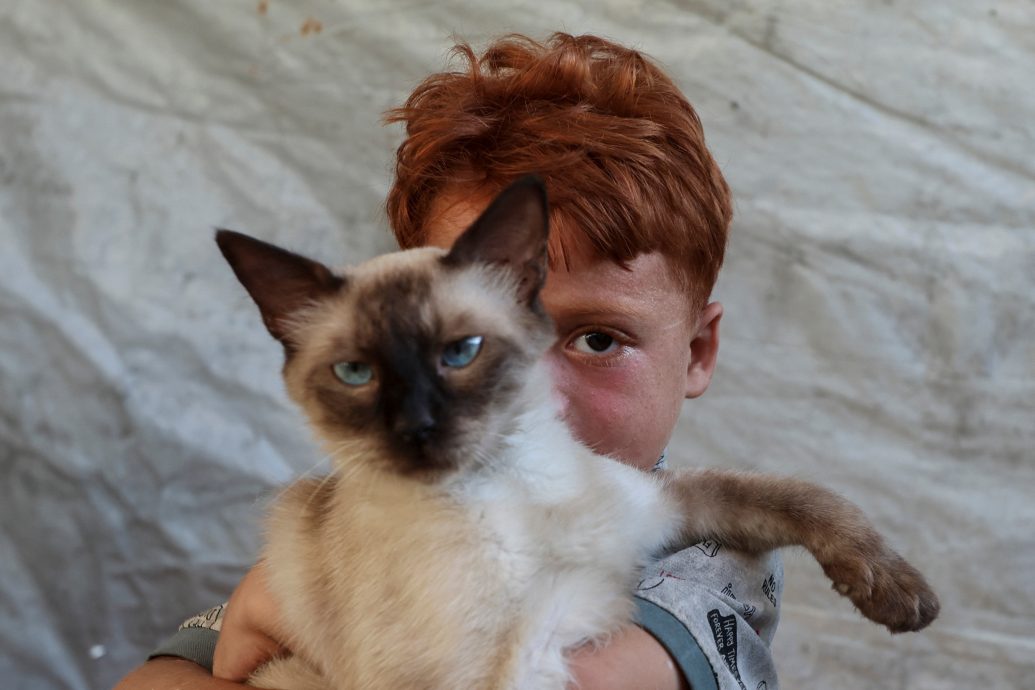 战争夺走全部至亲 悲容凝固两年 加沙女子苦难未有尽时