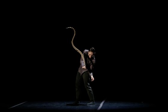 打造国际艺术平台 掀起文化与艺术的对话——d'Motion国际舞蹈节