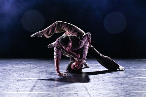 打造国际艺术平台 掀起文化与艺术的对话——d'Motion国际舞蹈节