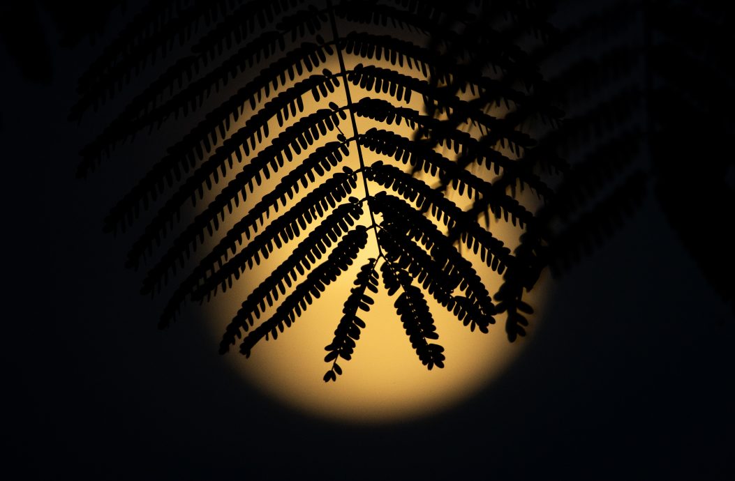 拼盘 月亮耀中秋 各地高空挂