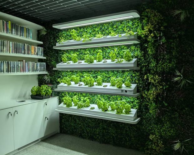 拼盘,波兰地铁站里地下图书馆 引领通勤新风尚:放下手机,邂逅书香