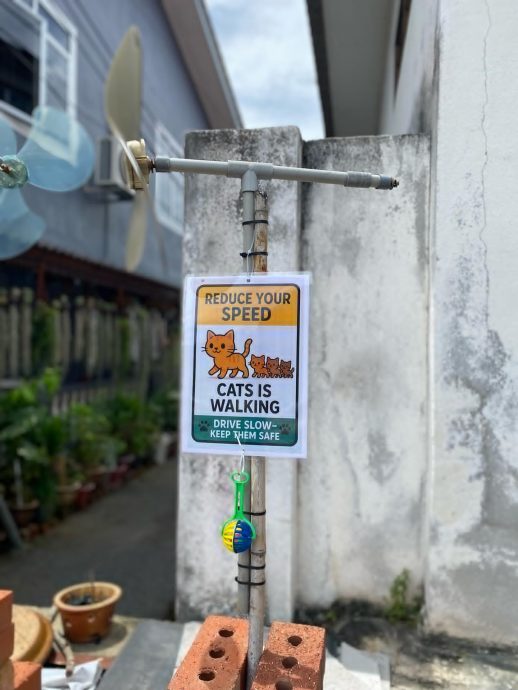 暖势力|女子保护猫咪防被撞 自制减速提醒牌挂社区