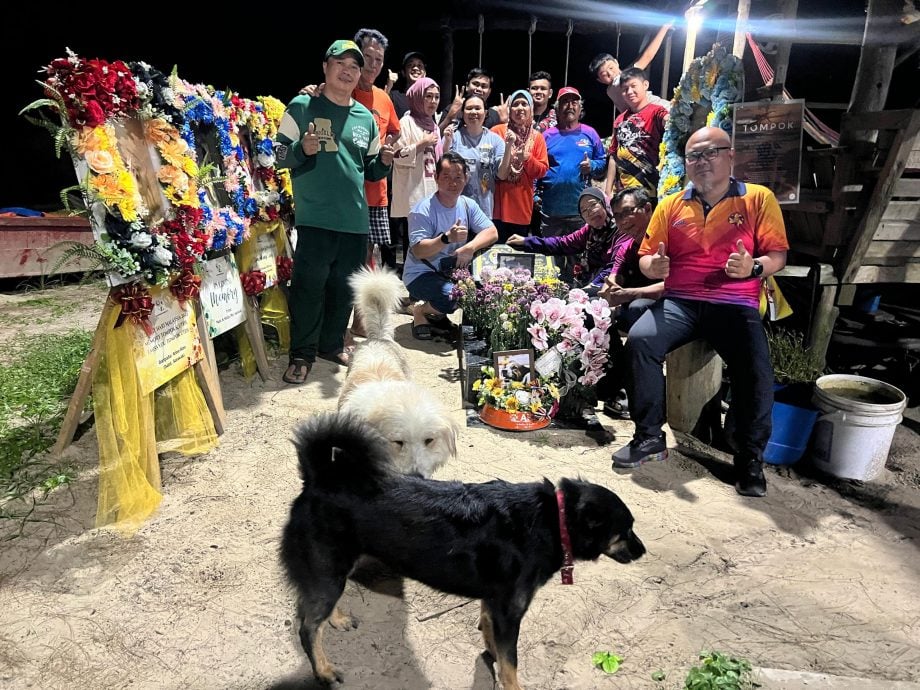 暖势力:流浪犬Tompok用生命教导爱