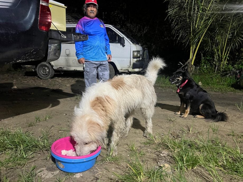 暖势力:流浪犬Tompok用生命教导爱