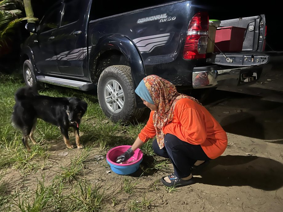 暖势力:流浪犬Tompok用生命教导爱