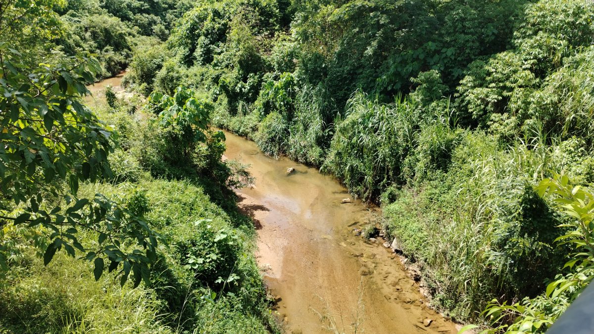 水利局获30万 于金宝2河展开提升工程