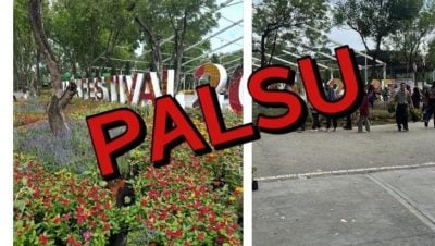 市局辟谣  隆公园节没派花