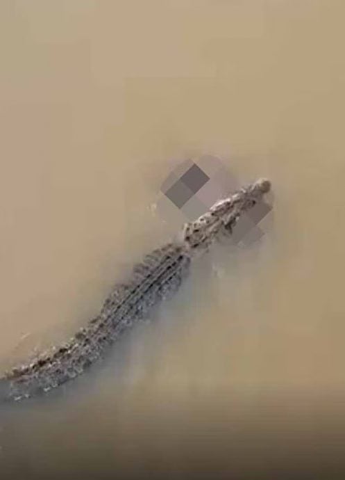 河边洗澡遇巨鳄袭击 妇女惨死遗体遭叼走