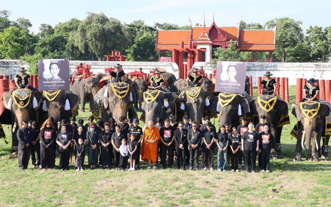 泰国9象集体下跪 哀悼诗丽吉王太后