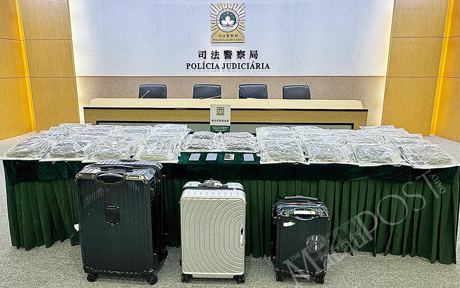 澳门警方拘捕涉嫌贩卖31.77公斤大麻花的港马毒驴