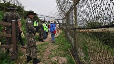 特朗普访韩前夕 韩国暂停部分非军事区观光活动