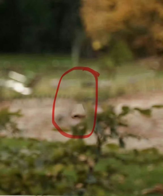 王俊凯P图乌龙变“灵异照”　网民笑翻：中秋彩蛋？