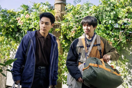 王晋恒／《狮子的藏身处》家，是一望无际的草原，不是囚笼	