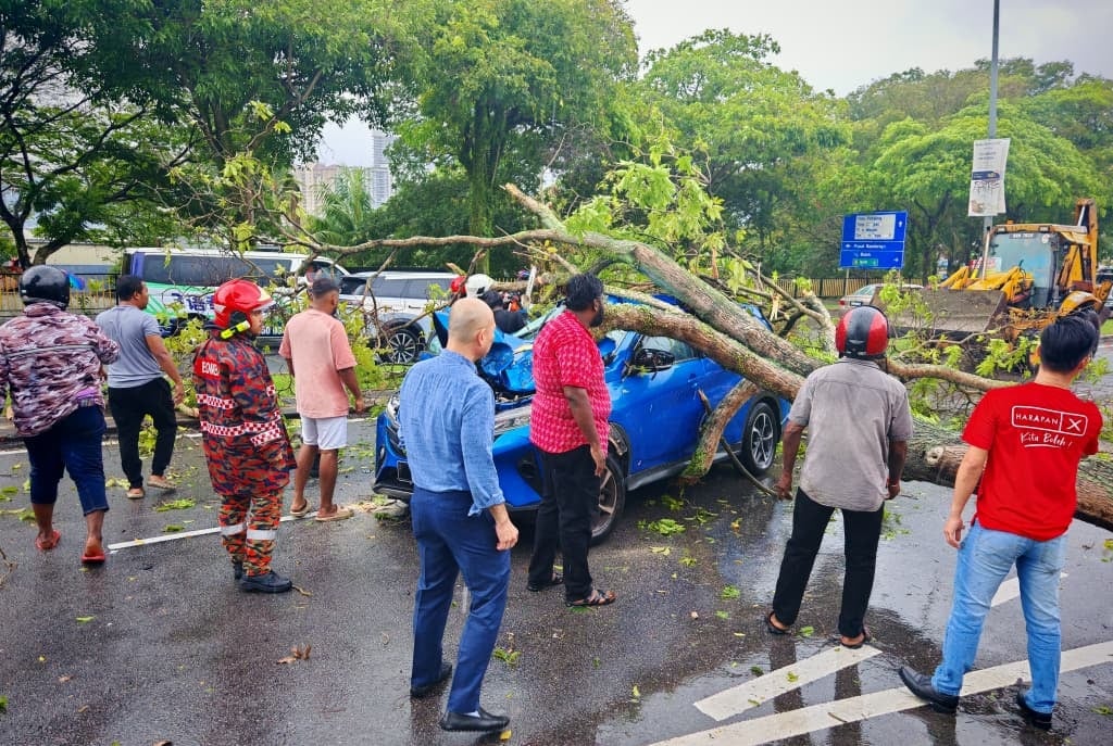 甲洞树倒击中车 神手救受困妇人