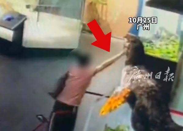 男子手贱卡死“恐龙”嘴 博物馆被迫“切下巴”救人！