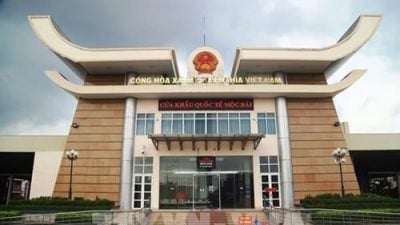 越南女子困柬埔寨50日  揭秘恐怖诈骗园