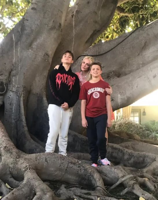 碧妮史毕丝持刀盯儿子睡觉 前夫爆料震惊外界