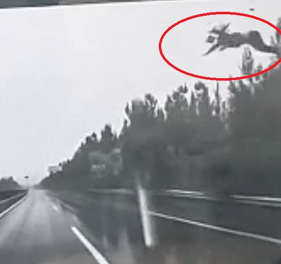 网传SUV山西高速公路失控撞栏翻滚 女子被甩到空中