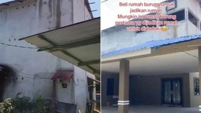 网民惊叹:“创意值爆表!” 女子改造废弃养燕屋当住房