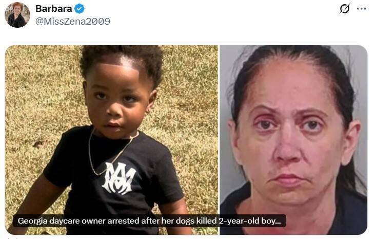 美国无照保母午睡超过2小时 男童惨遭2只罗威纳犬活活咬死