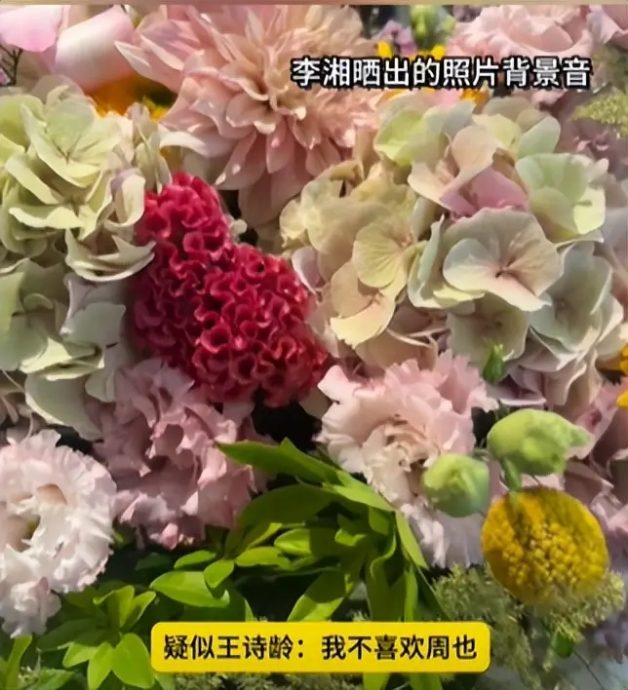 蛐蛐周也遭粉丝讨伐 李湘删微博重发不道歉