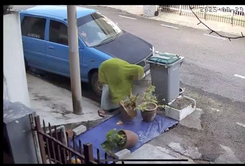 视频|旧邻居看不过眼 曝“水瓢姨”喜欢背后里“干活”是惯犯