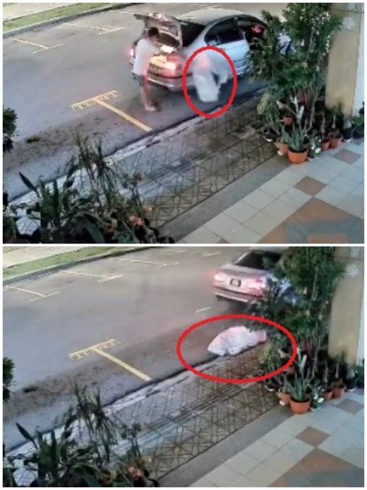 视频|男子凌晨偷4盆栽 还留下一堆塑料袋!