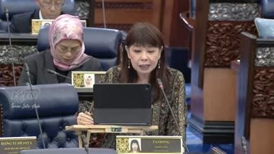 误判为钱骡户口遭封锁 林慧英：查证清白可获“漂白信”重启户口