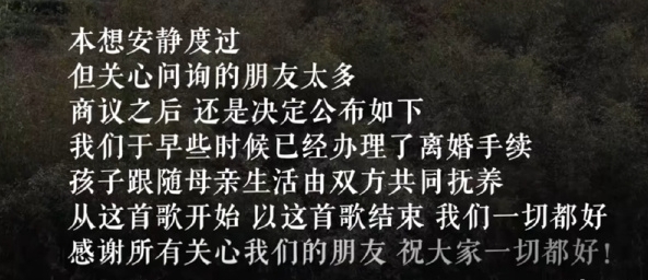 负债17亿孩子跟妈 李亚鹏宣布二度离婚