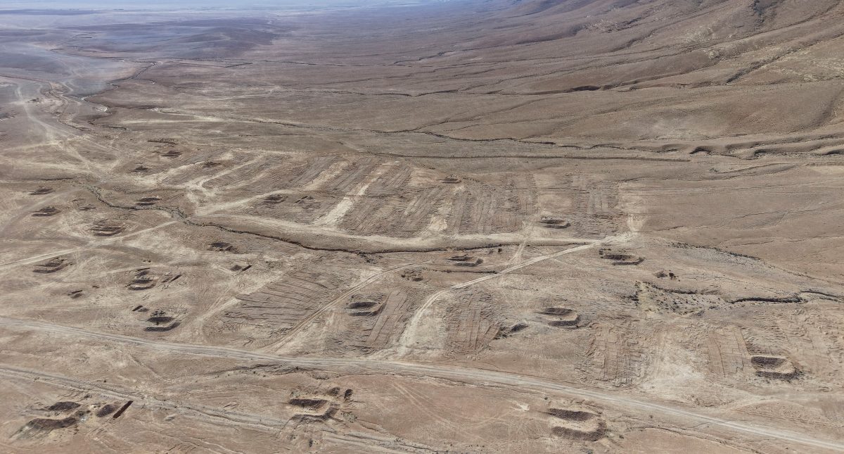 路透社：阿萨德政府秘密转移万人冢遗体 以掩盖屠杀