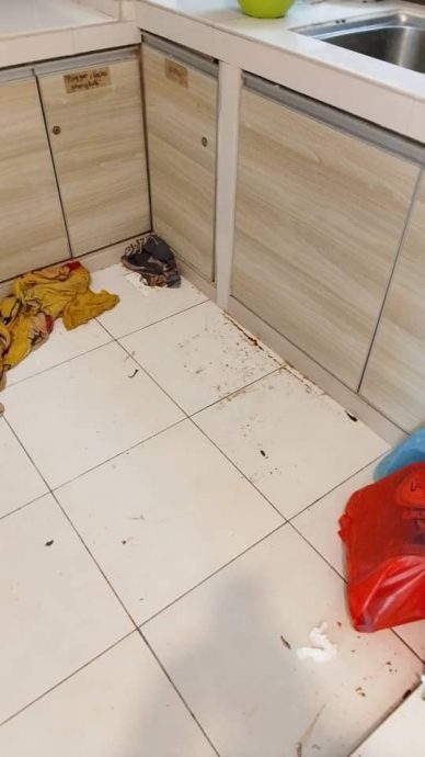 退房后留满屋垃圾 民宿房东好懊悔没收押金