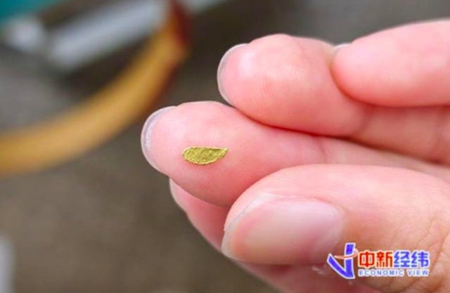 金价高企 中国多地推“金矿游”走红 30元体验淘金还能带走!