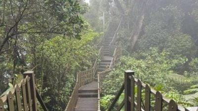 金马仑森林公园  雨季暂关闭