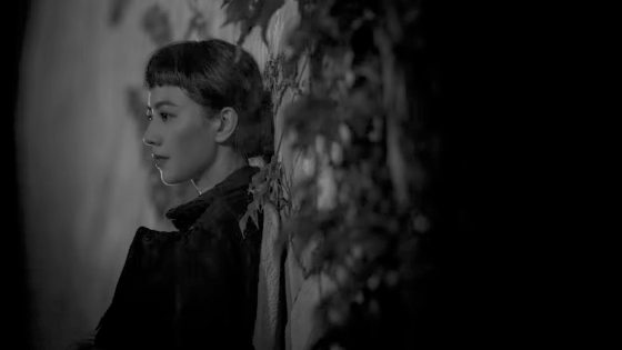 陈头头/《风林火山》人造风景与大梦一场的刽子手