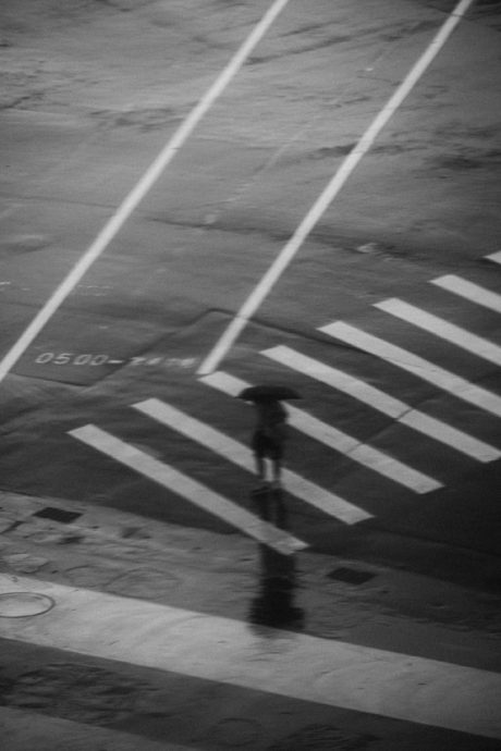 陈子韩／无目的的目的