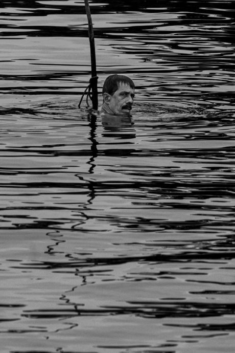 陈子韩／谁在偷谁的鱼？