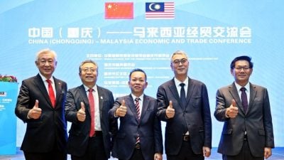 陈泓缣：通过重庆“陆海新通道”   棕油产品可销中国内陆
