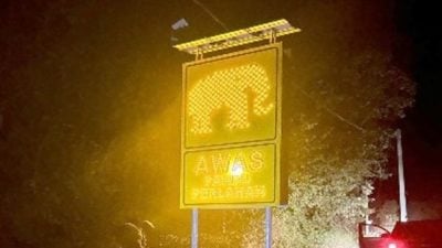 47象群热点 15死车祸现场 郑国霖:设558太阳能路灯照明